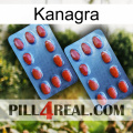 Kanagra 05